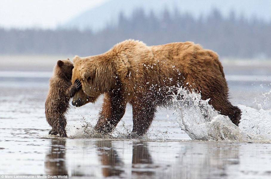 ʵ�Ķ����ĸ��