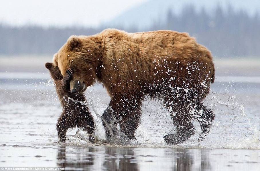 ʵ�Ķ����ĸ��