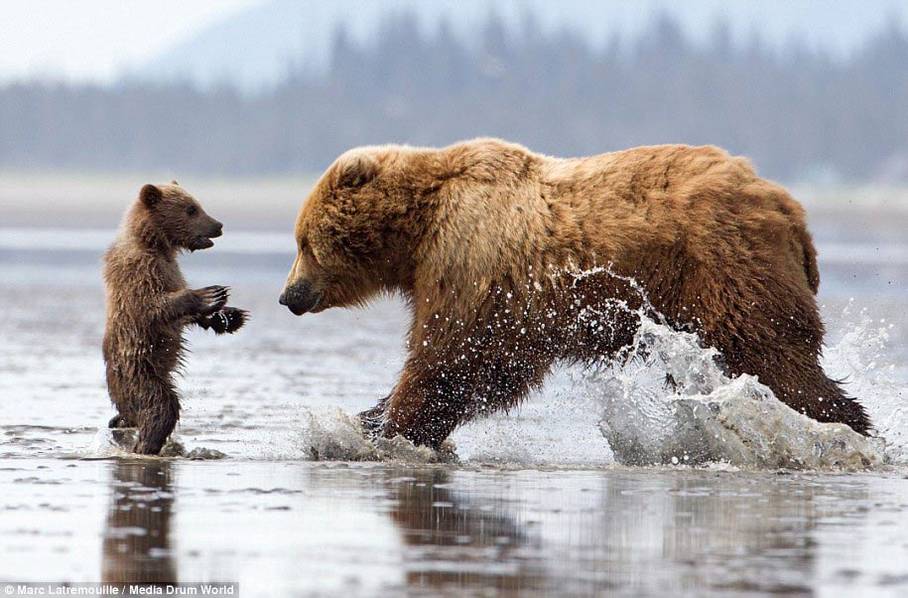 ʵ�Ķ����ĸ��