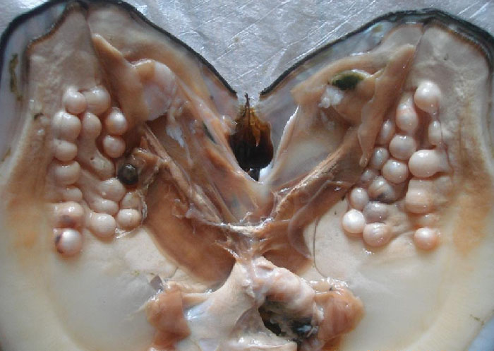 ԭ��������Ĺ����ܲ��ң���ǻ��ȥ�����Ǻ����ԭ����