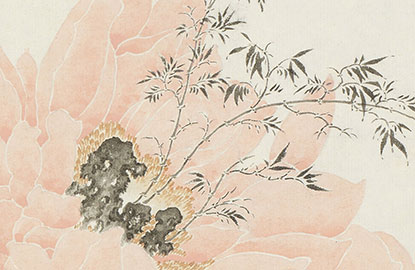 �������ԣ������������󻤳ֵ�һ������