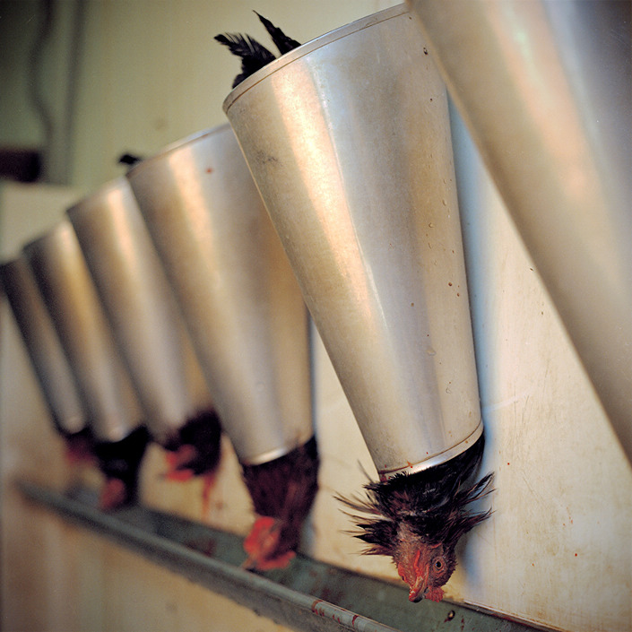 ���������ƣ����ڷ���_������ƫ�������Ѿ�