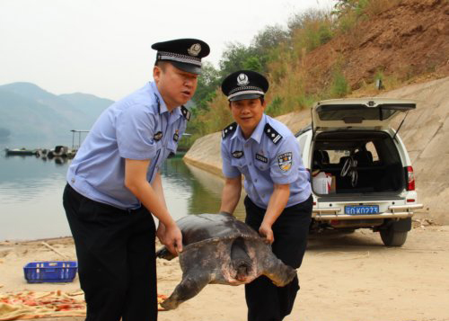 ���������ƣ����ڷ���_������ƫ�������Ѿ�