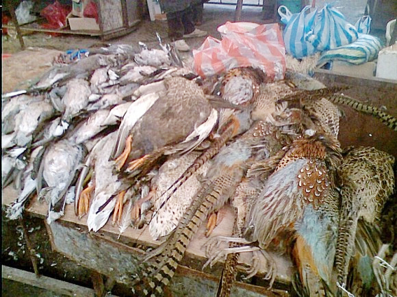 ���������ƣ����ڷ���_������ƫ�������Ѿ�