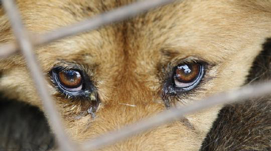 ���������ƣ����ڷ���_������ƫ�������Ѿ�