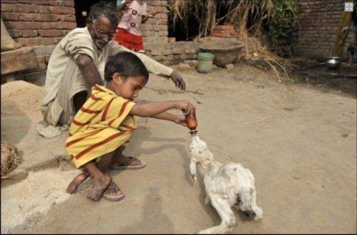 全球奇特的连体人!你一定没见过! 全球奇特的连体人!你一定没见过!