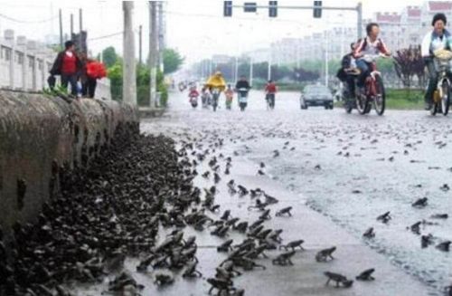 汶川5.12大地震前_千年古寺现罕见佛光似预兆(图) 汶川5.12大地震前_千年古寺现罕见佛光似预兆(图)