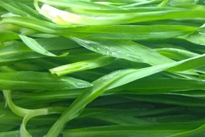 九大健康素食让你远离肥胖烦恼! 九大健康素食让你远离肥胖烦恼!