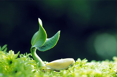 九大健康素食让你远离肥胖烦恼! 九大健康素食让你远离肥胖烦恼!