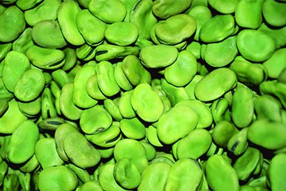 九大健康素食让你远离肥胖烦恼! 九大健康素食让你远离肥胖烦恼!