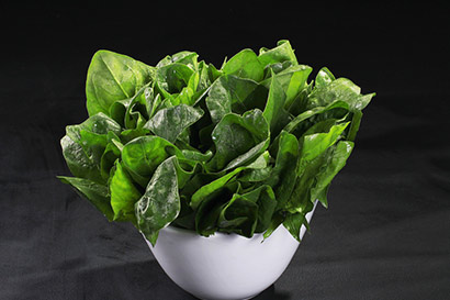 九大健康素食让你远离肥胖烦恼! 九大健康素食让你远离肥胖烦恼!