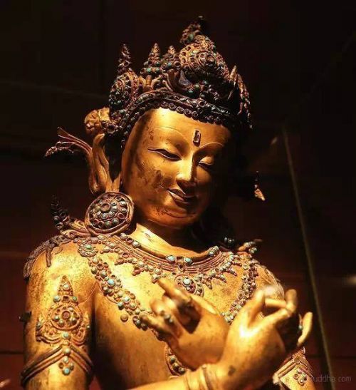 �׶�����ݾ����������