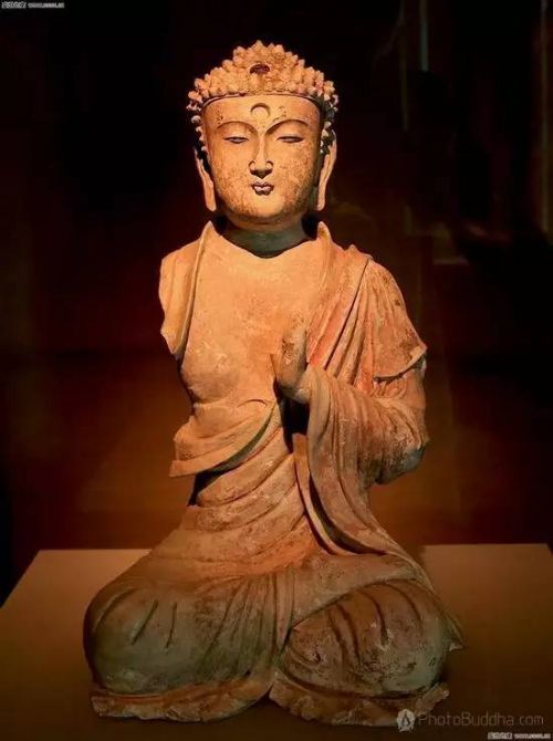 �׶�����ݾ����������