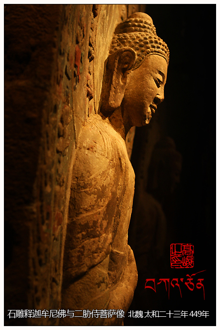 �׶�����ݾ����������