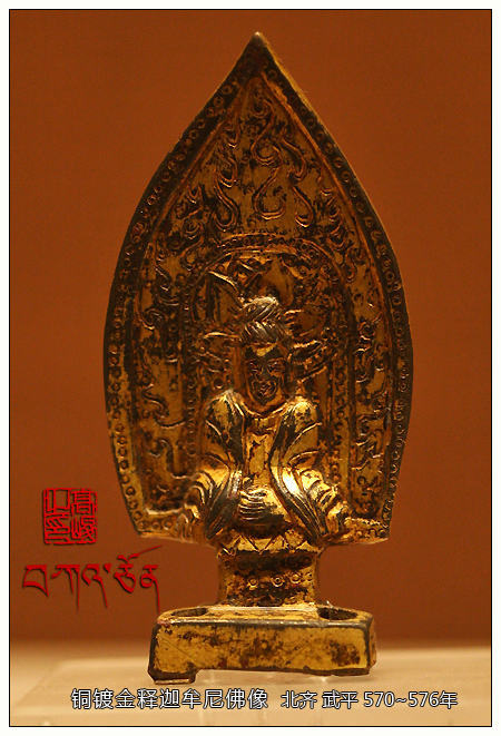 �׶�����ݾ����������