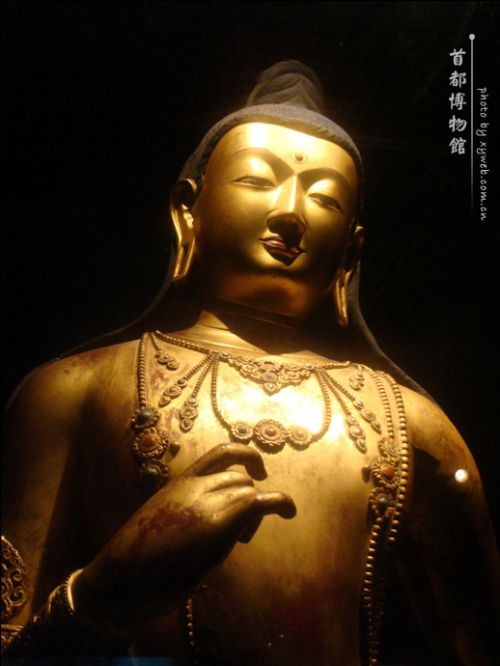 �׶�����ݾ����������