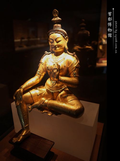 �׶�����ݾ����������