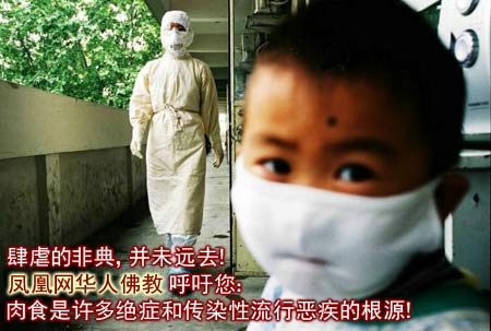 震惊:肉食背后的25个真相 震惊:肉食背后的25个真相