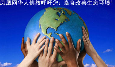 震惊:肉食背后的25个真相 震惊:肉食背后的25个真相