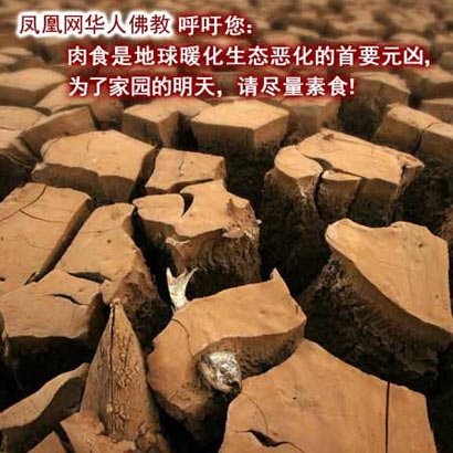 震惊:肉食背后的25个真相 震惊:肉食背后的25个真相