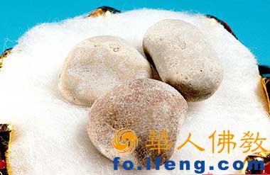 ������ķ��ʥ�������(ͼ)