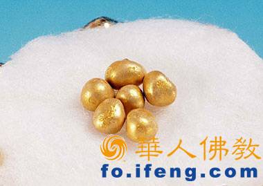 ������ķ��ʥ�������(ͼ)