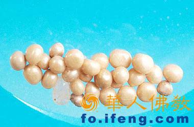 ������ķ��ʥ�������(ͼ)