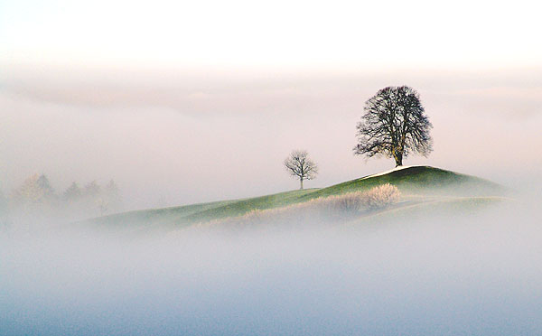 广钦老和尚:贪恋世间的一颗草_都要再来轮回 广钦老和尚:贪恋世间的一颗草_都要再来轮回