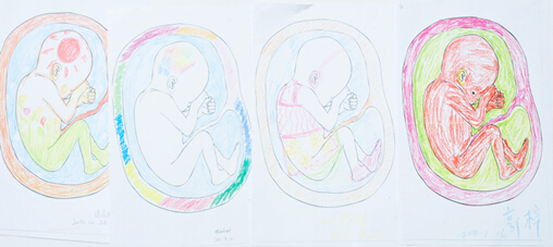 婴儿一入胎就已经有生命,3000年前的佛陀的话正在被科学验证 婴儿一入胎就已经有生命,3000年前的佛陀的话正在被科学验证