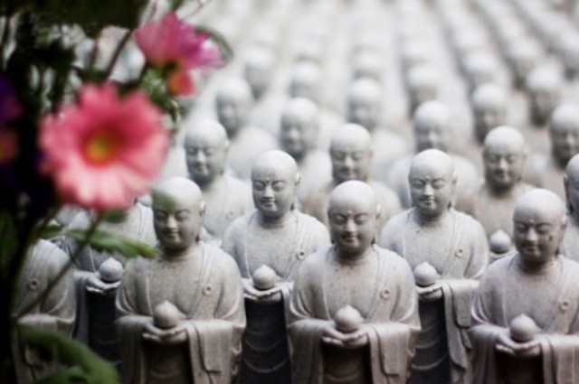 �㻯�Ϻ��У���ѧ���۾�һ���ܻ���ǻ���