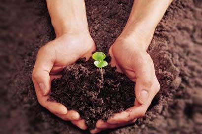 科学证实人一直以来都是素食动物 科学证实人一直以来都是素食动物