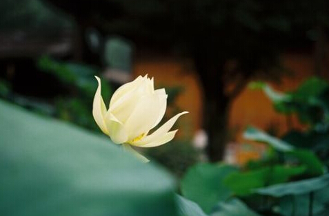 ѧ�Ϸ�ʦ��������������������_����ů����