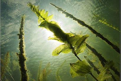 ����ô_��֢�Ŀ���ʳ������Щ�أ�