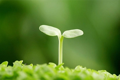 ����ô_��֢�Ŀ���ʳ������Щ�أ�