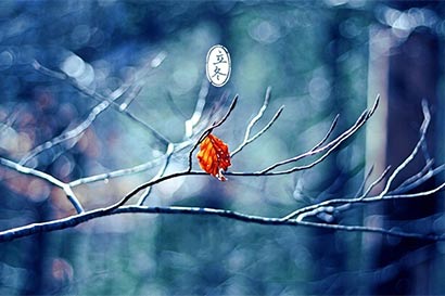 节气养生_立冬补冬_4款冬季养生食谱滋阴进补 节气养生_立冬补冬_4款冬季养生食谱滋阴进补