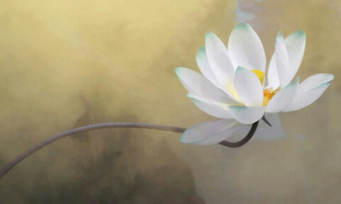 索达吉堪布:年轻人如何改变不如意的生活?从我执入手 索达吉堪布:年轻人如何改变不如意的生活?从我执入手