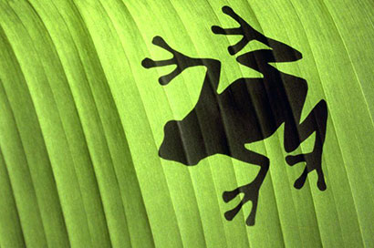 一只雪蛙以血肉布施八万蚂蚁_证得无上菩提 一只雪蛙以血肉布施八万蚂蚁_证得无上菩提