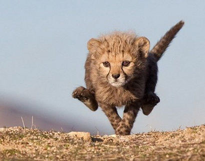 佛陀开示世间骇人实相_非常可怕的世俗欲乐 佛陀开示世间骇人实相_非常可怕的世俗欲乐