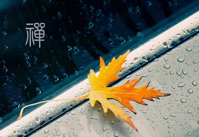 广钦老和尚:一切忍下是为自心不起烦恼 广钦老和尚:一切忍下是为自心不起烦恼