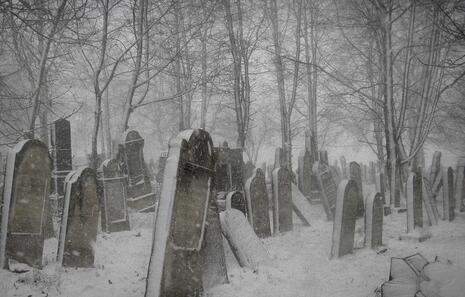 阿姜曼:别忘记这个事实_人人都随身携带一座坟墓 阿姜曼:别忘记这个事实_人人都随身携带一座坟墓