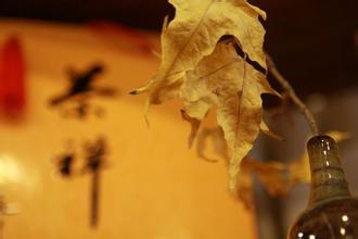 �޳մ󳼴�������˫��_���������亦