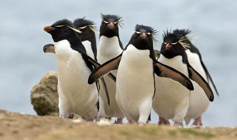慈诚罗珠堪布:任何众生都可能是佛菩萨示现 慈诚罗珠堪布:任何众生都可能是佛菩萨示现