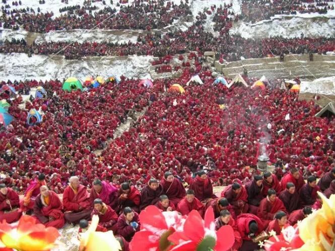 ��Ź�"���"��"����"_�ڽ̲���������