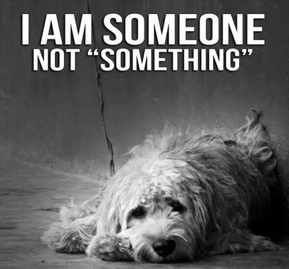 �����ọ́��ӱ������ﵽѰ�����ĵĴ�