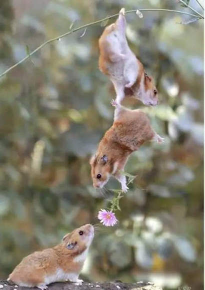 �����ọ́��ӱ������ﵽѰ�����ĵĴ�