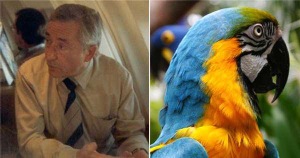 死去丈夫投胎成鹦鹉被妻子买回,没想到它说话让太太吃惊不已 死去丈夫投胎成鹦鹉被妻子买回,没想到它说话让太太吃惊不已