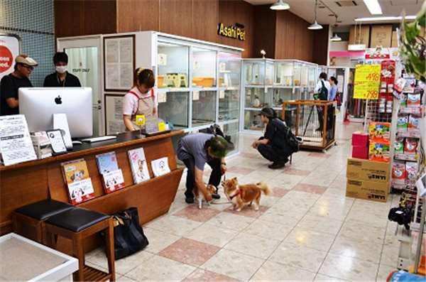 死去丈夫投胎成鹦鹉被妻子买回,没想到它说话让太太吃惊不已 死去丈夫投胎成鹦鹉被妻子买回,没想到它说话让太太吃惊不已