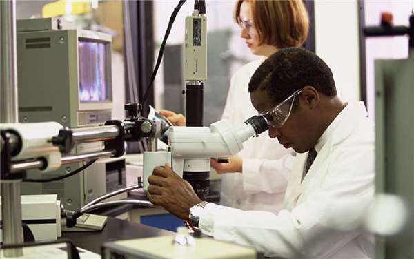 死去丈夫投胎成鹦鹉被妻子买回,没想到它说话让太太吃惊不已 死去丈夫投胎成鹦鹉被妻子买回,没想到它说话让太太吃惊不已