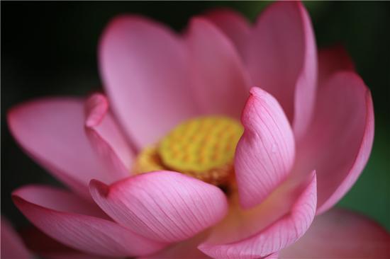 ��ηֱ��ȡ�᾿���ķ�