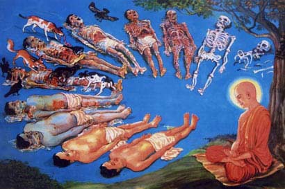 绝世美女执着身相_佛陀妙计令其觉悟 绝世美女执着身相_佛陀妙计令其觉悟